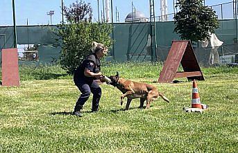 Köpekli arama kurtarma ekiplerinin bir durağı da Trabzon oldu