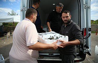 Ordu'da denize açılan balıkçıların yüzü istavritle gülüyor