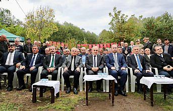 Ordu'da tescilli Akkuş şeker fasulyesinin hasadına başlandı