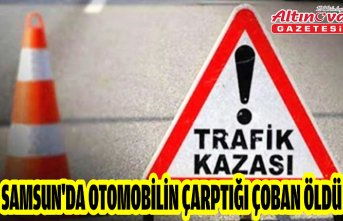 Samsun'da otomobilin çarptığı çoban öldü