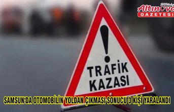 Samsun'da otomobilin yoldan çıkması sonucu 3 kişi yaralandı