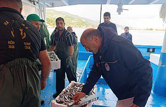 Samsun'da 2 haftada 174 bin 480 kilo hamsiye nakil onayı verildi