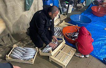 Sinop'ta balıkçılar bir gecede 3 bin 200 palamut avladı