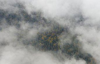 Sisle kaplanan Yedigöller yolu dronla görüntülendi