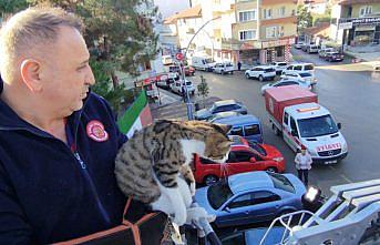 Sungurlu'da çatıda mahsur kalan kedi itfaiye ekiplerince kurtarıldı