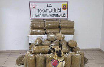 Tokat'ta 340 kilogram kaçak tütün ele geçirildi