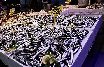 Trabzon'da hamsinin kilogramı 100 liradan satıldı
