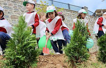 Trabzon'da ilkokul öğrencileri fidan dikti