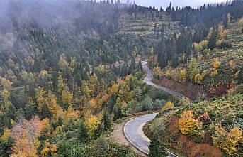 Trabzon'un yüksek kesimleri sonbahar renklerine büründü