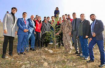 Amasya’da şehitler için fidan dikildi