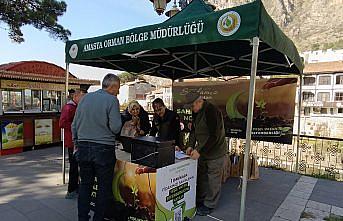 Amasya’da vatandaşlara ücretsiz fidan dağıtıldı