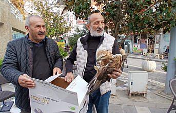 Amasya'da yaralı bulunan kızıl şahin koruma altına alındı