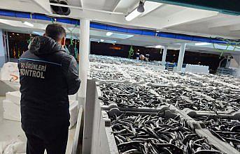 Doğu Karadeniz'de hamsi büyüklüğü ve bolluğuyla yüzleri güldürüyor