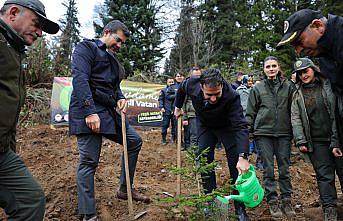 Giresun'da Milli Ağaçlandırma Günü etkinlikleri