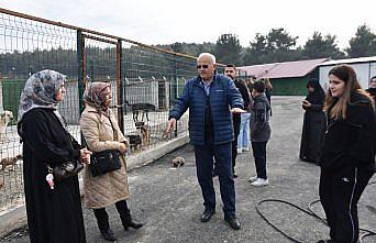 Hayvanseverler Boyabat Sokak Hayvanları Doğal Yaşam Alanı'nı ziyaret etti