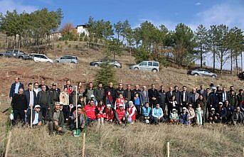 İskilip'te 200 fidan toprakla buluşturuldu