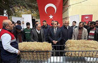 İskilip'te üreticilere küçükbaş hayvan yemliği ve otluğu dağıtıldı