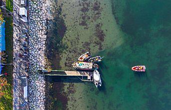 İzmit Körfezi'ndeki temizlik çalışmalarının güncel durumu su altı dalışıyla gözlemlendi