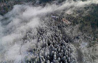 Karabük'te Sarıçiçek Yaylası'nda kar ve sis etkili oldu