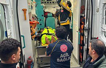 Kastamonu'da mantar toplarken ayı saldırısına uğrayan köy imamı yaralandı