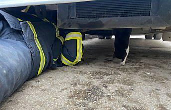 Kastamonu'da minibüsün motoruna sıkışan kedi yavrusu kurtarıldı