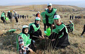 Mecitözü'nde “Milli Ağaçlandırma Günü“ kapsamında fidan dikimi yapıldı