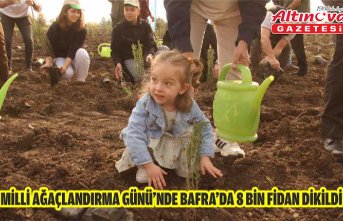 Milli Ağaçlandırma Günü’nde Bafra’da 8 Bin Fidan Dikildi