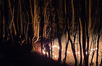 Ordu'da çıkan örtü yangını kontrol altına alındı