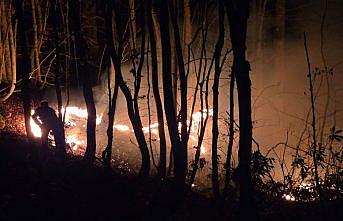 Ordu'da çıkan örtü yangınına müdahale ediliyor