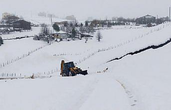 Ordu'nun yüksek kesimlerinde karla mücadele sürüyor
