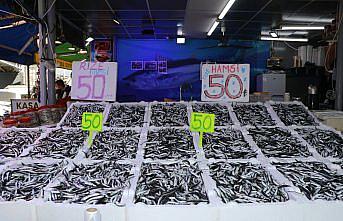 Rize'de hamsinin kilogramı 50 liradan satılıyor