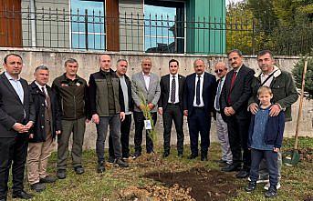 Salıpazarı'nda Milli Ağaçlandırma Günü'nde fidanlar toprakla buluşturuldu
