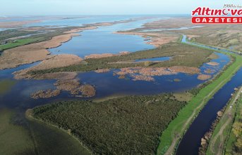 Samsun Kızılırmak Deltası'nda suları çekilen göller sonbahar yağışlarıyla canlandı
