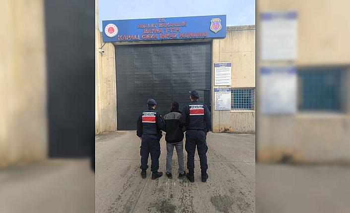 Bafra'da 10 yıl 5 ay hapis cezası bulunan firari hükümlü yatağın altında yakalandı