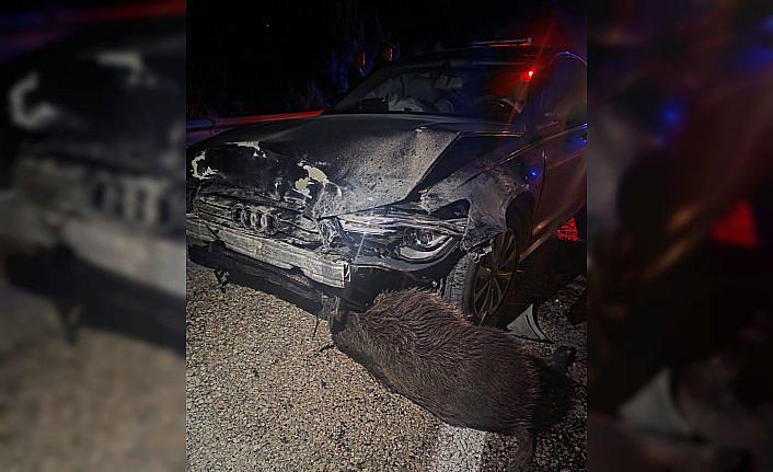 Sinop Belediye Başkanı Gürbüz'ün makam aracı Kastamonu'da domuz sürüsüne çarptı