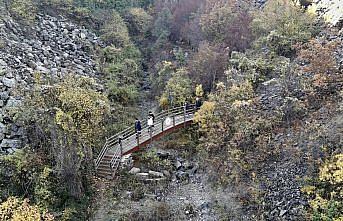 Sinop'ta milyon yıllık bazalt kayalıkları sonbahar renklerine büründü