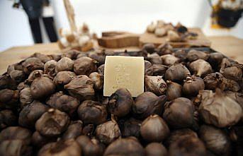 Taşköprü siyah sarımsağından sabun üretildi