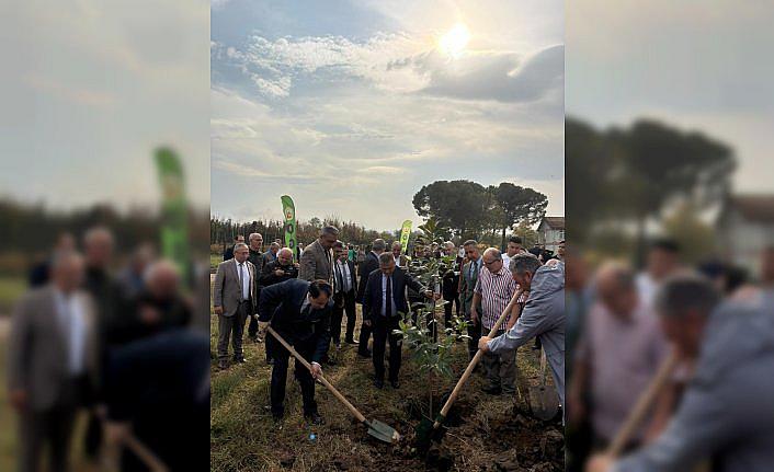 Tekkeköy'de Milli Ağaçlandırma Günü etkinliği yapıldı