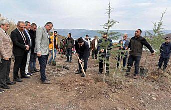 Tokat'ın ilçelerinde Milli Ağaçlandırma Günü'nde fidan dikim etkinliği düzenlendi