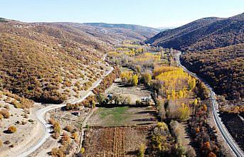 Tokat'ta ormanlarda sonbahar renkleri hakim oldu