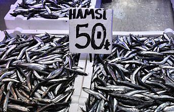 Trabzon'da balıkçı tezgahlarını hamsi süslüyor