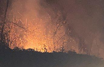 Trabzon'da çıkan örtü yangını kontrol altına alındı