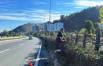 Trabzon'da park ve bahçelerde temizlik yapıldı