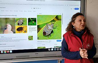 19 Mayıs ilçesinde 