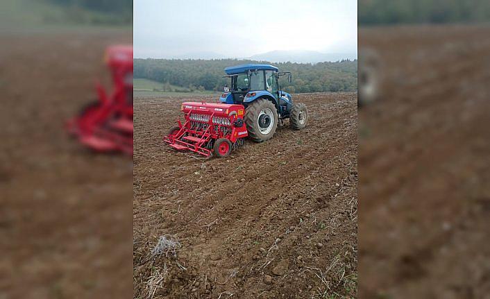 Altın dane buğdayı 19 Mayıs'ta ekildi