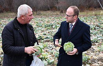 Alucra Kaymakamı Azman'dan pancar üreticilerine ziyaret