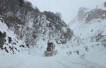Artvin'de çığ meydana geldi