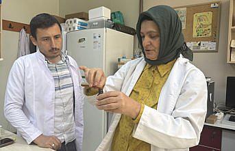 Doku hasarına karşı aronya “doğal kalkan“ olabilir