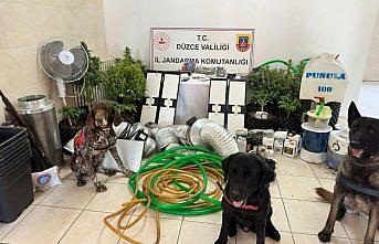 Düzce'de evinin çatı arasına kurduğu düzenekle uyuşturucu bitki yetiştiren şüpheli yakalandı