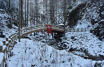 Gümüşhane'deki Çağlayandibi Şelalesi Tabiat Parkı beyaza büründü